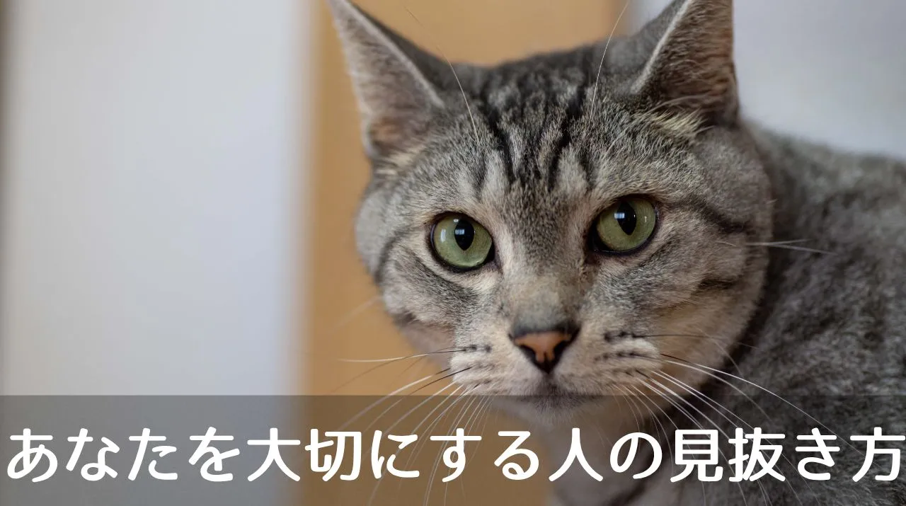 あなたを大切にする人の見抜き方
