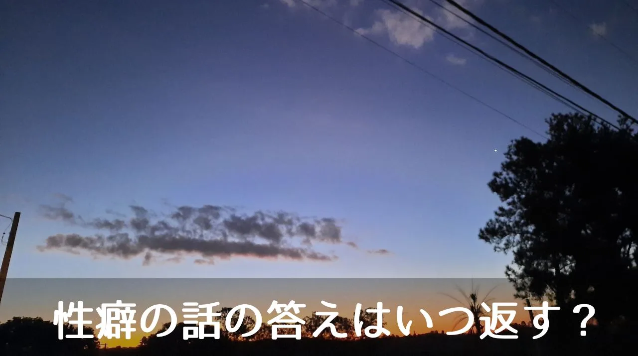 性癖の話の答えはいつ返す？