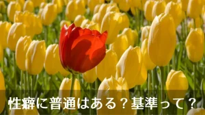 性癖に普通はある？基準って？