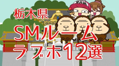 栃木県SMルームのあるラブホテル12選