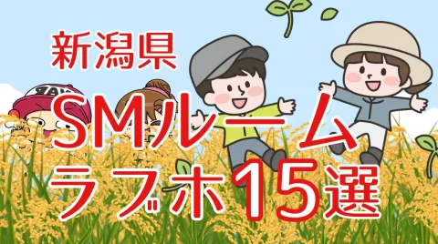 新潟県SMルームのあるラブホテル15選